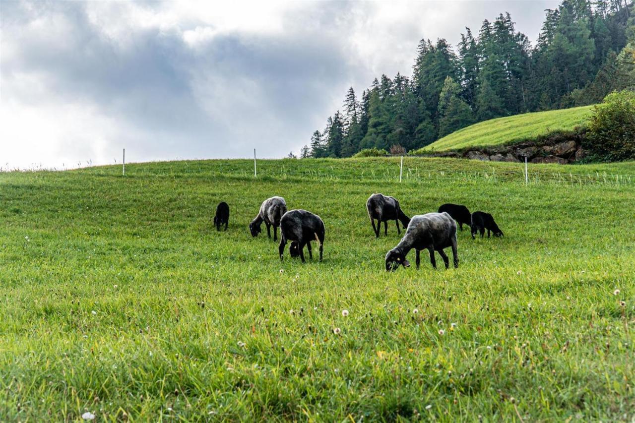 Zoeschgenhof Lägenhet Matrei in Osttirol Exteriör bild